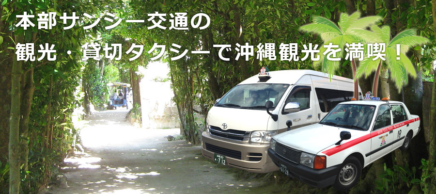 癒しのスポット　備瀬のフクギ並木